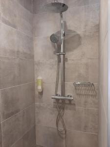 a shower with a shower head in a bathroom at Apartments by Pension Ballwein in Salzburg