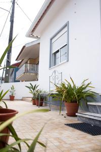 a white building with potted plants in front of it at Alojamento das Fontes in Alenquer