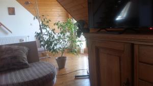 A television and/or entertainment centre at Komfort Apartman