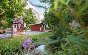 Camping Jungfrau外面的花园