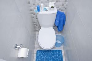 a bathroom with a white toilet with a blue rug at Barcelona City Rooms in Barcelona