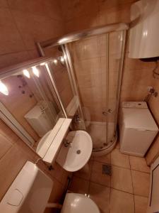 a bathroom with a toilet and a shower and a sink at Apartments Radulovic in Sutomore +56 photos