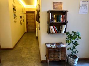 un pasillo con una estantería de libros y una mesa con una planta en Hotel 381 Panguipulli, en Panguipulli