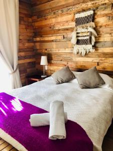Postel nebo postele na pokoji v ubytování Hotel 381 Panguipulli