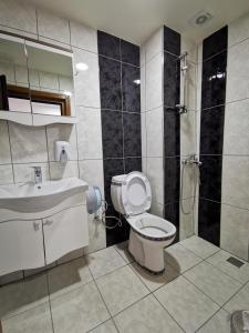 a bathroom with a toilet and a sink at Kuloğlu Otel ve Restoran in Uzungol
