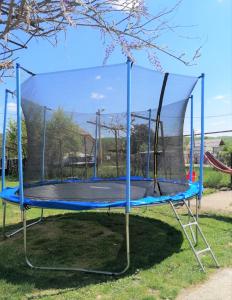 a trampoline in the grass in a park at Cazare Vila Maria in Curtea de Argeş