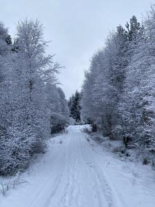 a road covered in snow with trees on it at Glenan Lodge Self Catering in Tomatin