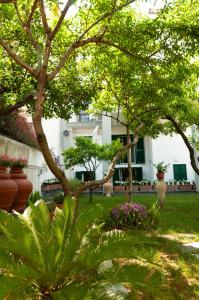 Κήπος έξω από το Casa Teresinella Garden