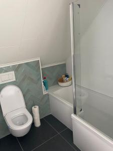 Ένα μπάνιο στο Strandvilla Zeeland aan Zee +9 φωτογραφίες