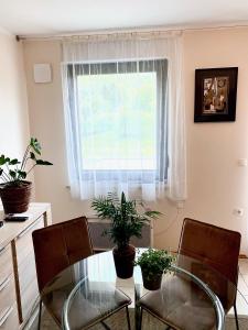a dining room table with two chairs and a window at Apartments Pri nas in Kobarid