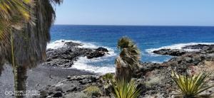 a view of the ocean with palm trees and rocks at Cosy Well Located Apartment Tenerife Sur Golf in San Miguel de Abona