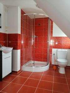 a red tiled bathroom with a shower and a toilet at Dom do wynajęcia Błękitna Panorama in Sarbinowo