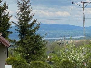 Príroda v okolí apartmánu