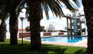 a swimming pool with palm trees in front of a building at Quartos de Vidigueira in Vidigueira