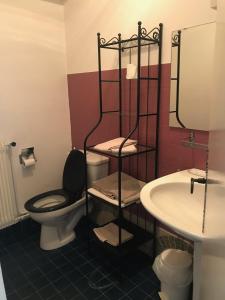 a bathroom with a toilet and a sink at Auberge du val d’ouche in Bligny-sur-Ouche