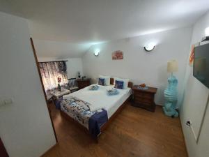 Imagen de la galería de Casa Vera, Tudor Vladimirescu, en Tulcea 24 fotos más