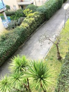 a garden with plants and a walkway at Studio bord de mer à proximité monaco et menton 4 personnes à roquebrune cap martin in Roquebrune-Cap-Martin