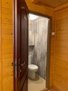 a bathroom with a toilet and a wooden door at Ranczo Wilka z kominkiem in Chrzanów +26 photos