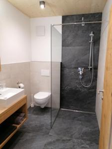 a bathroom with a shower and a toilet and a sink at Montepart Zillertal in Hainzenberg