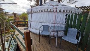 The Tall Pines Yurt