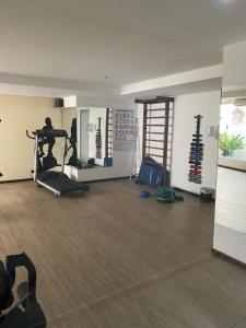 Fitness centrum a/nebo fitness zařízení v ubytování Imperial Flat