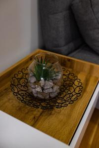 Posezení v ubytování GOMEX studio