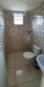 a bathroom with a toilet and a sink at CASA GIRASSOL-Trilha das Flores-SERRA DA CANASTRA in São Roque de Minas