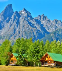 uma vista para a montanha de dois chalés de madeira com árvores e montanhas em Rocky Ridge Resort-BC em Smithers