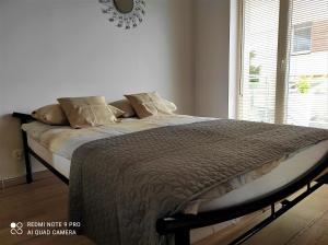 ein Bett in einem Schlafzimmer mit einem großen Fenster in der Unterkunft MAZURSKA DAMA LUXURY APARTAMENT in Giżycko