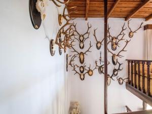 Zdjęcie z galerii obiektu Holiday Home in Aracena with Private Pool w mieście Aracena