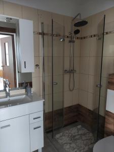 a bathroom with a shower and a sink at Leśny Dworek Lesław Zieniewicz in Jarosławiec