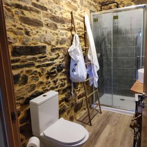 a bathroom with a toilet and a stone wall at PampiHouse in Pampilhosa da Serra