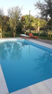 a large blue swimming pool with a picnic table at Complejo Martina Manuel in San Rafael
