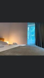 Afbeelding uit fotogalerij van MANEA Orsova in Orşova