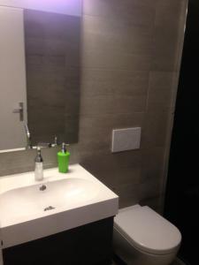 Koupelna v ubytování Apartment al Lido Ascona