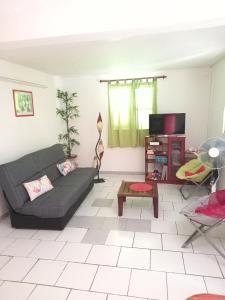 ein Wohnzimmer mit einem Sofa und einem TV in der Unterkunft Bel Appartement - proche des plages de Sainte Anne in Sainte-Anne