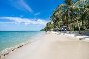 a beach with palm trees and the ocean at KC Grande Resort Koh Chang in Ko Chang