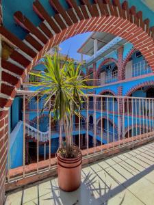 un bâtiment bleu avec une plante en pot devant lui dans l'établissement Hotel Villa Luz, à Puerto Escondido