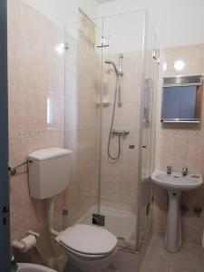 a bathroom with a shower and a toilet and a sink at Casas da Barroca in Lagos