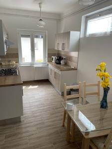 Kuchyňa alebo kuchynka v ubytovaní Pingvin Cukrászda Apartman