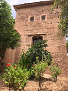 Giardino di Kasbah Timdaf