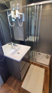 ein Bad mit einem Waschbecken und einer Dusche in der Unterkunft Collis winery - Family & Friends - Mobilhome in Rovinj