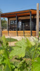 Zahrada ubytování Collis winery - Family & Friends - Mobilhome