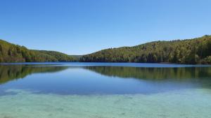 a large lake in the middle of a forest at Apartment Ivan & Iva in Gornji Vaganac