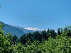 a mountain in the distance with trees in the foreground at Jungle by sturmfrei Manali in Manāli
