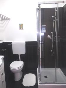 ナポリにあるMeridional Stationのバスルーム(トイレ、ガラス張りのシャワー付)
