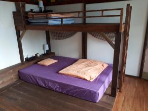 a bedroom with two bunk beds with purple sheets at backpackers guesthouse Border in Nago +49 photos