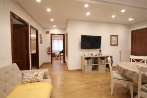 TV a/nebo společenská místnost v ubytování Apartamento Oviedo General Elorza