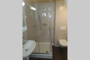 een badkamer met een douche, een wastafel en een toilet bij Classy Apartment in Interlaken