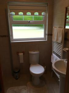 a bathroom with a toilet and a window and a sink at Glenrandel Valley in Claudy